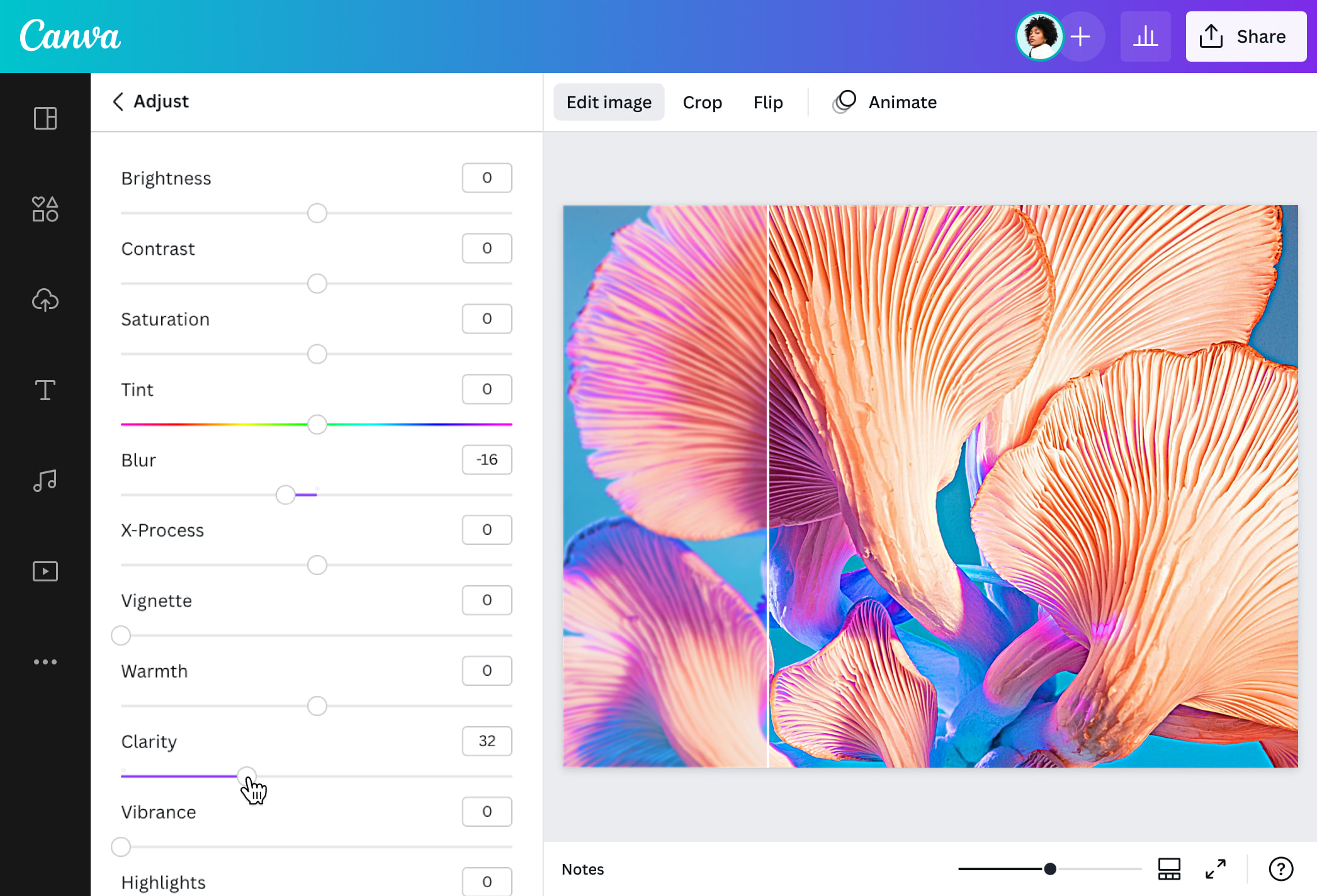 Déflouter une image obtenez des photos plus nettes Canva