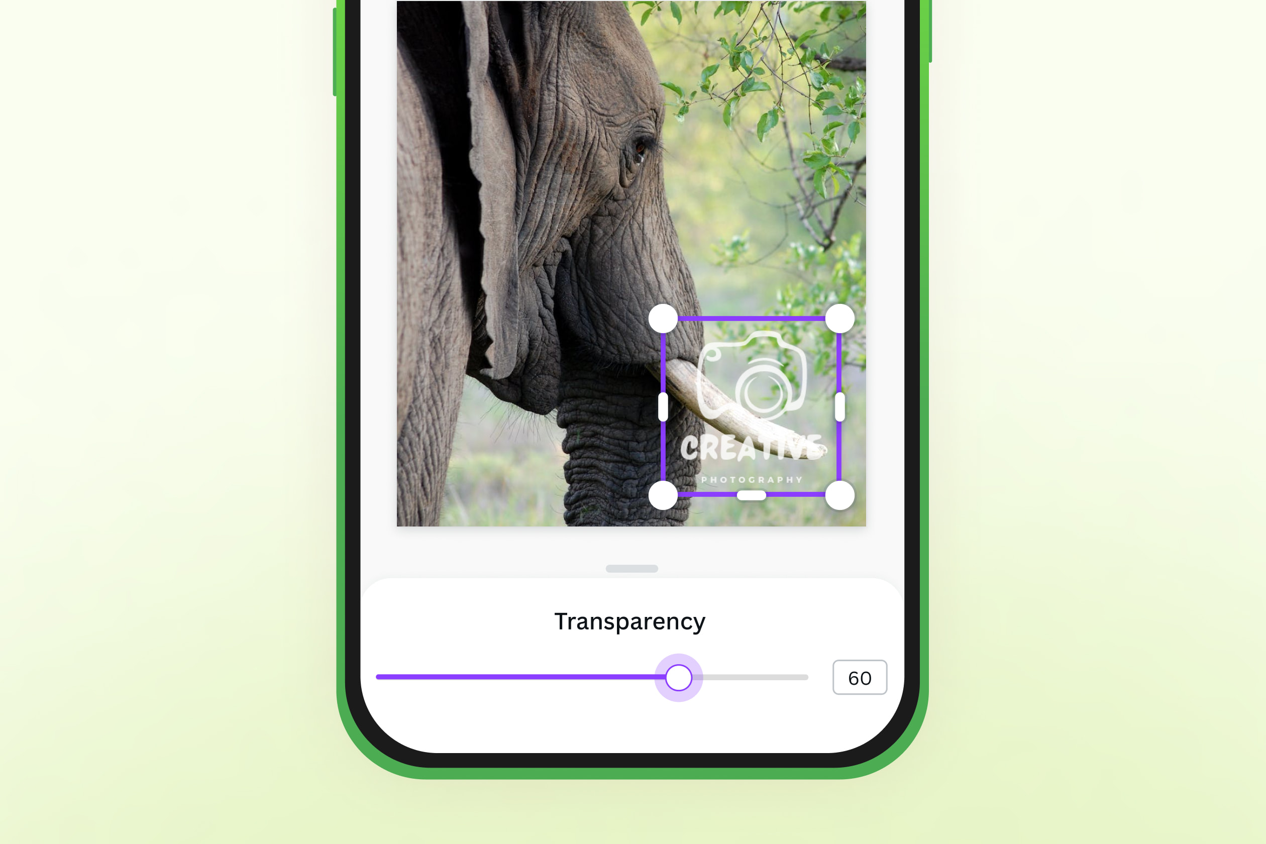 Marca de agua en fotos - Añadir marca de agua a fotos gratis | Canva