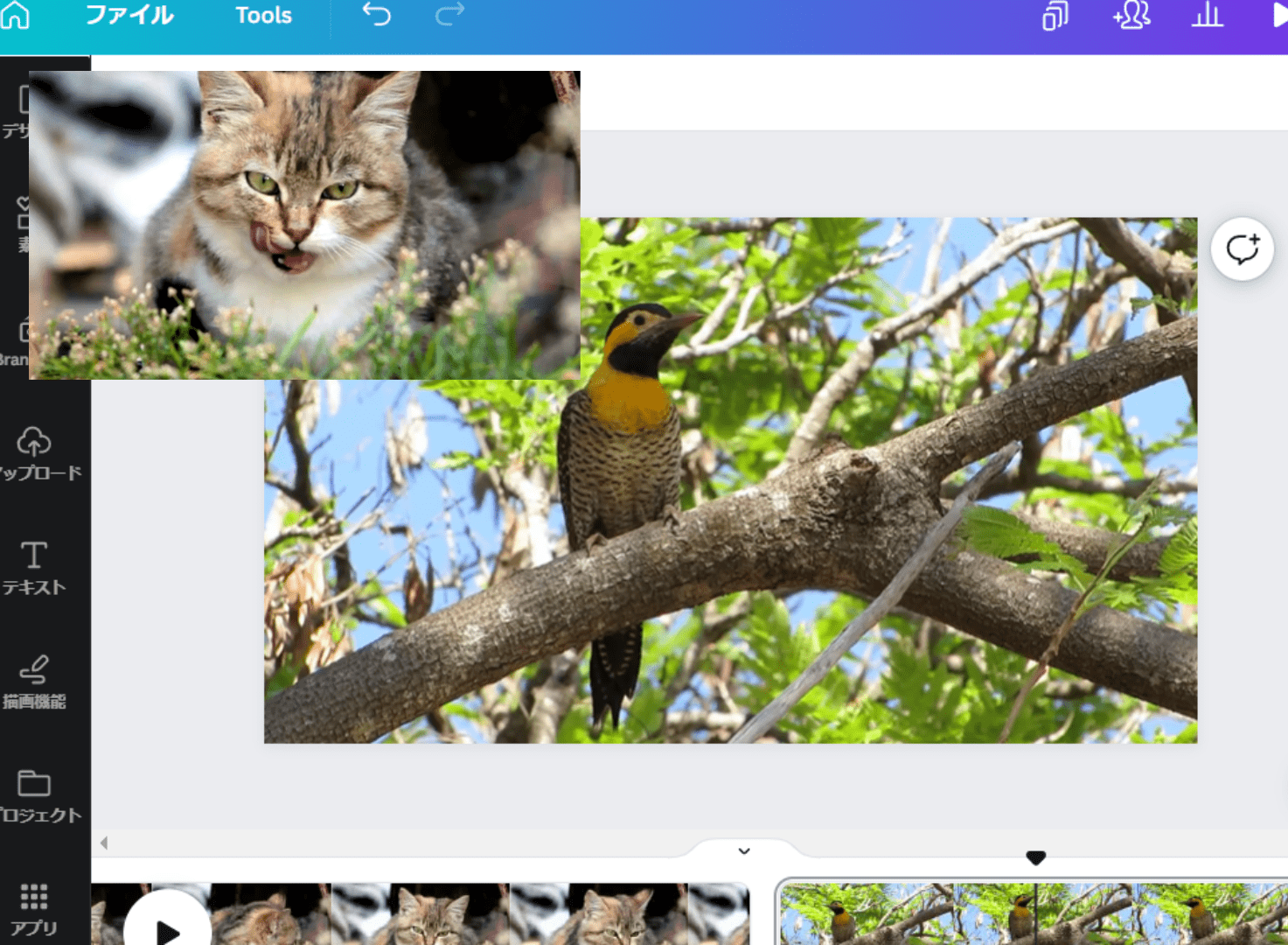 動画と動画を繋げる。動画編集ソフト - Canva