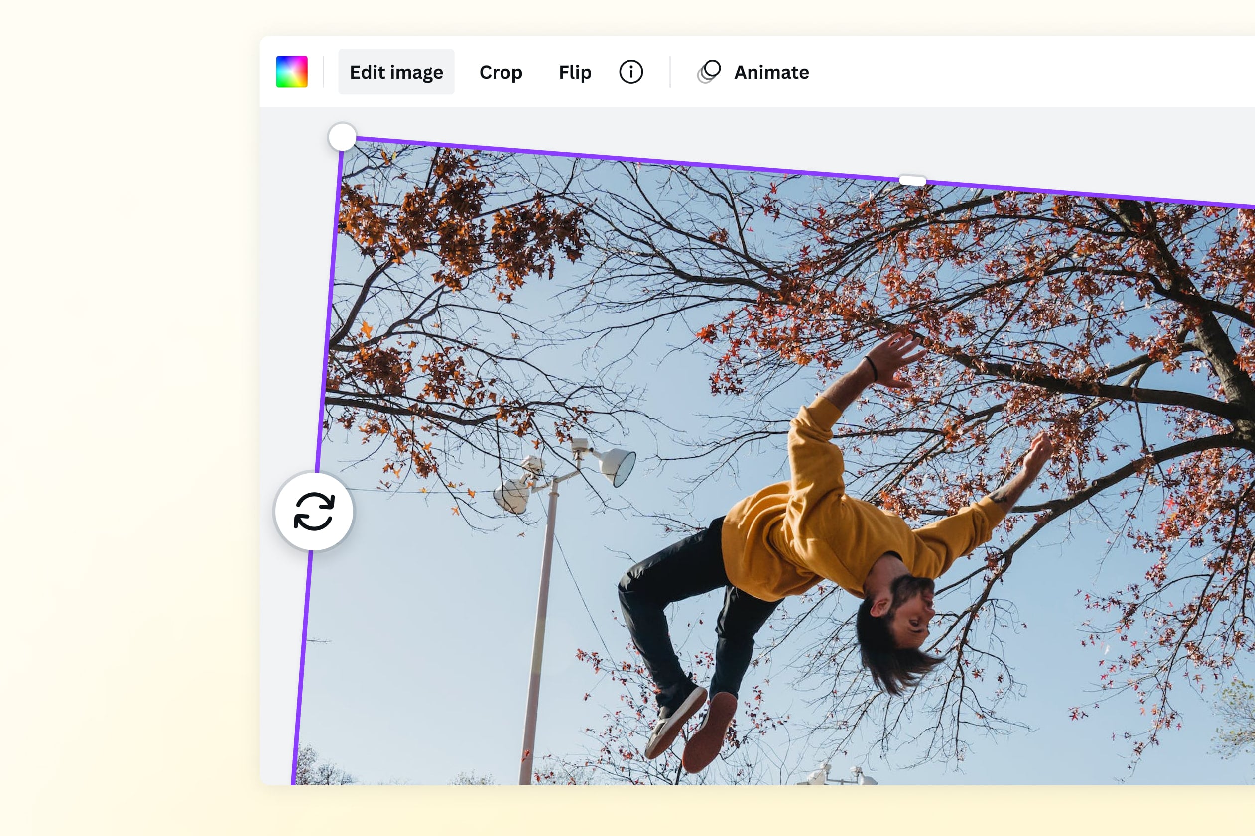 Rotação de Imagem: Rotacione uma Imagem Online de Graça | Canva