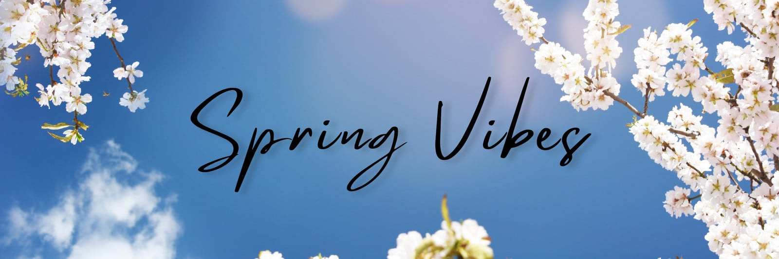 Twitterヘッダー作成！ツイッターバナー画像デザインをフリーテンプレートやスマホアプリで無料制作！作り方も簡単！ Canva