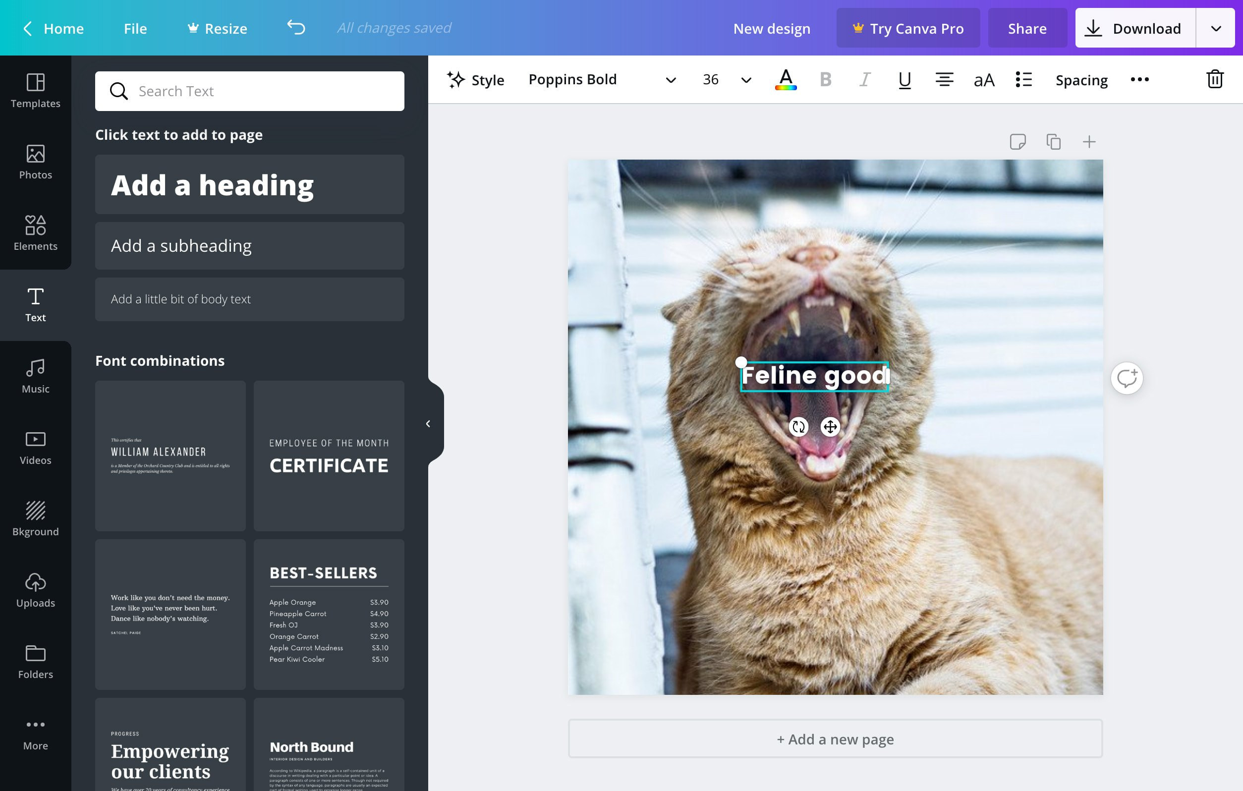 Bilder beschriften: Text in Fotos einfügen | Canva