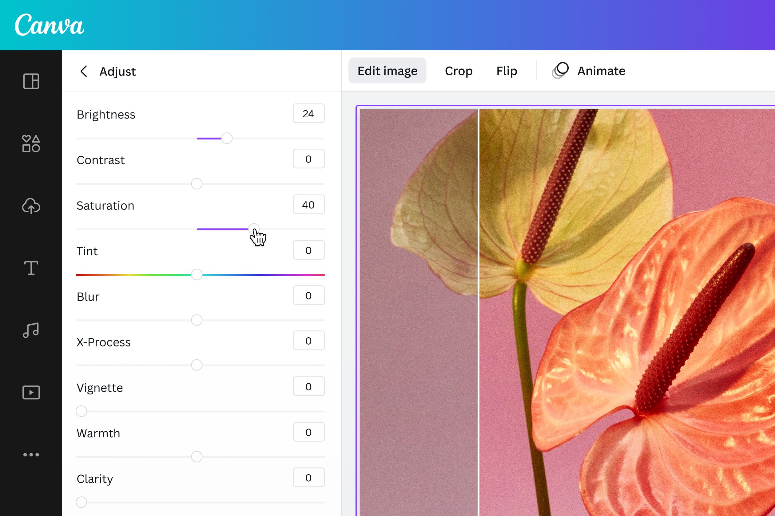 JPEG in JPG umwandeln kostenlos online Canva