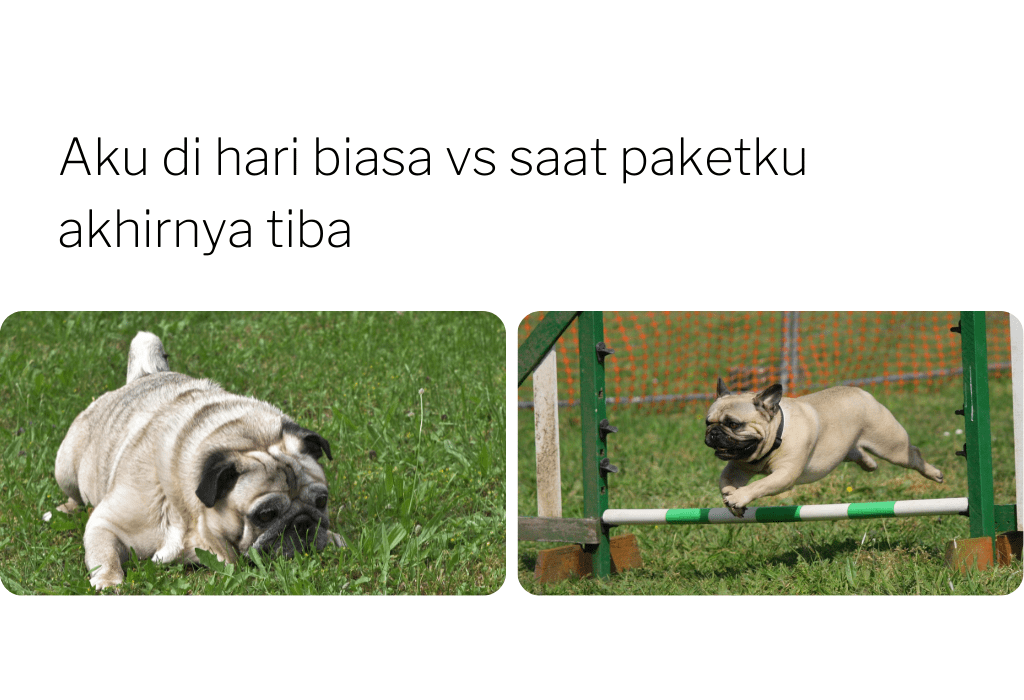 Membuat Meme Online dengan Meme Editor Gratis - Canva