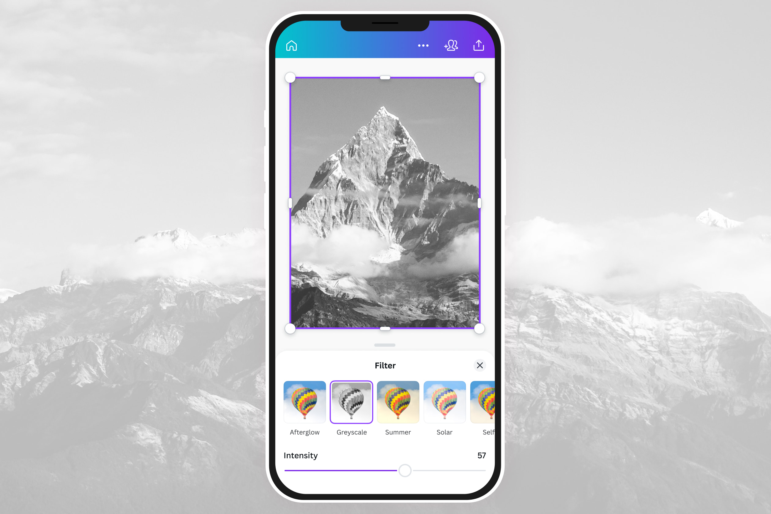 SchwarzWeißFilter Bilder in SchwarzWeiß umwandeln Canva