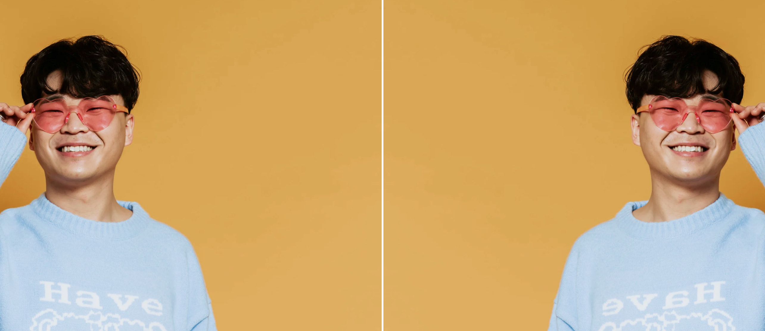 Flip Image Feature Banner