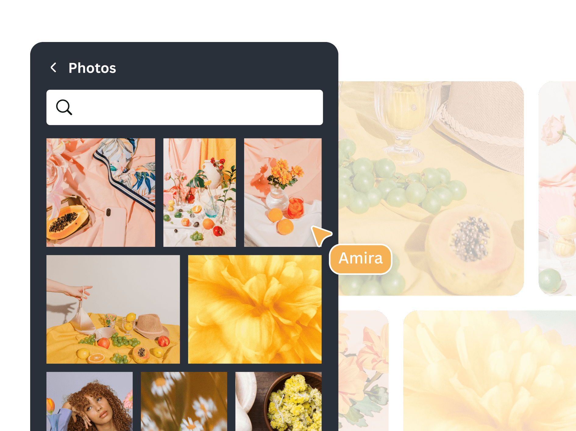 Usá imágenes, videos y archivos de audio prémium Canva Pro