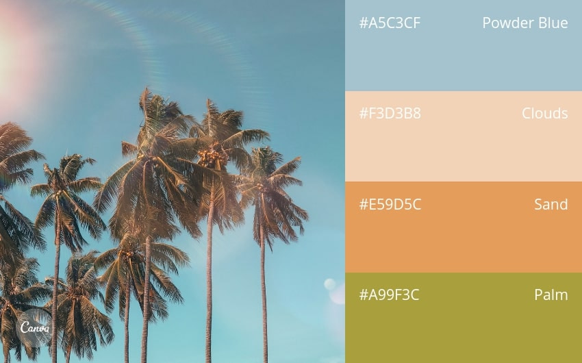 100 Color Combination Ideas And Examples Canva