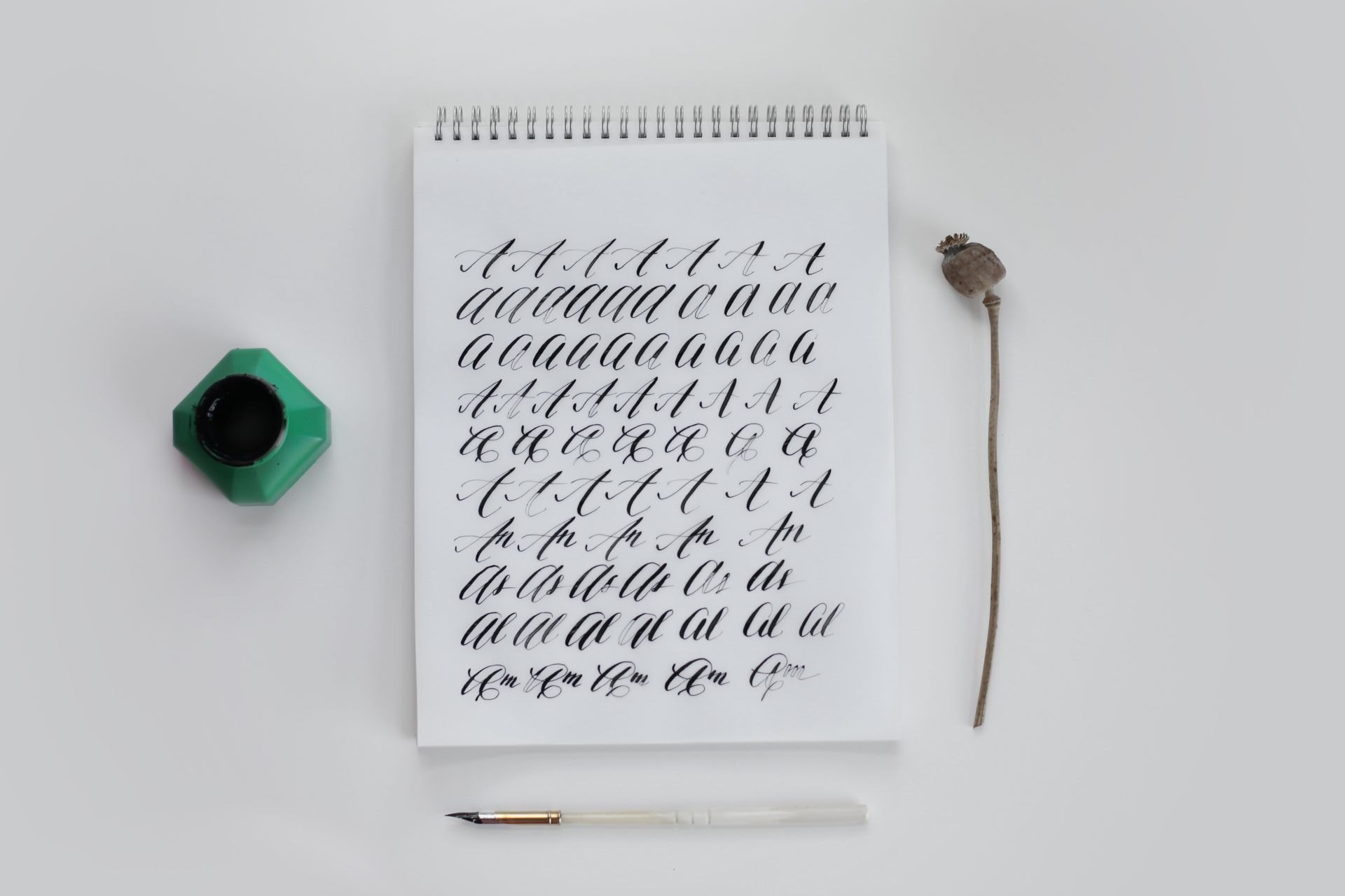 5 первых шагов в каллиграфии для начинающих | Блог Canva