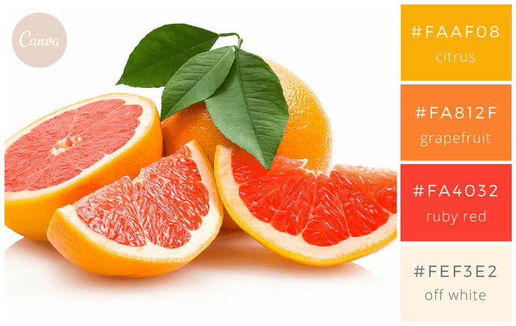 デザインをセンスアップする いけてる配色パターン 100選