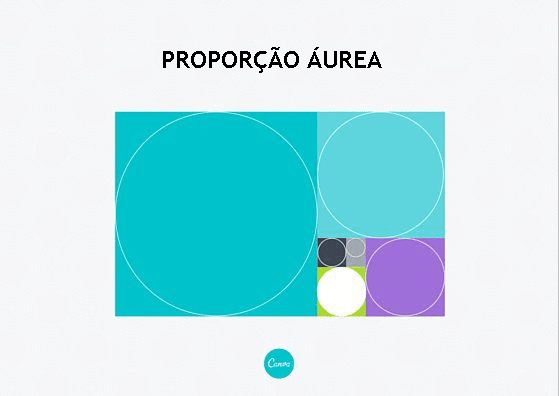 proporção áurea 8
