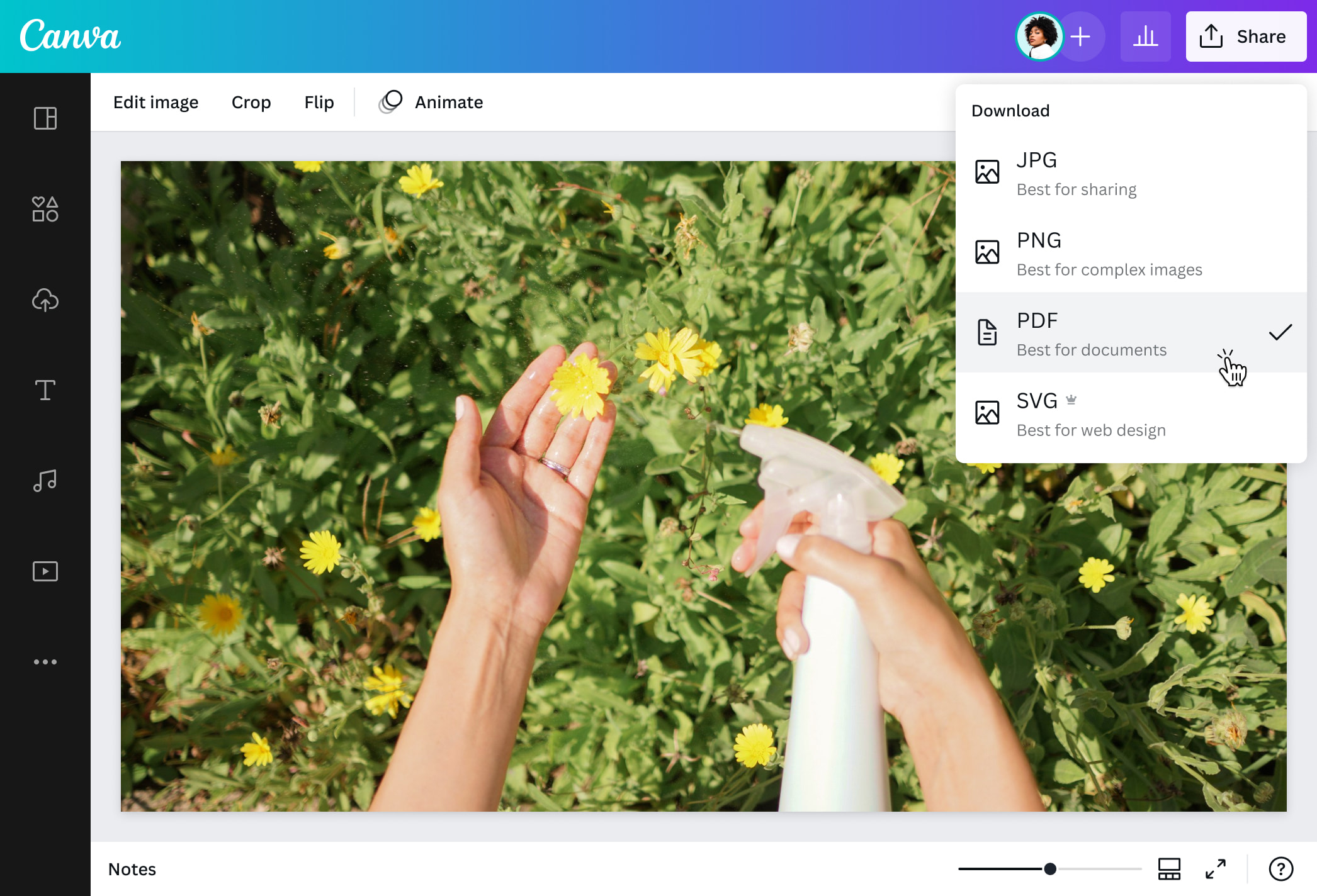 Da JPG a PDF gratis: converti JPG in PDF online | Canva
