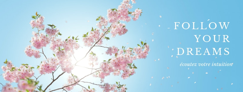 Le Guide Complet De Taille D Image Des Reseaux Sociaux Canva