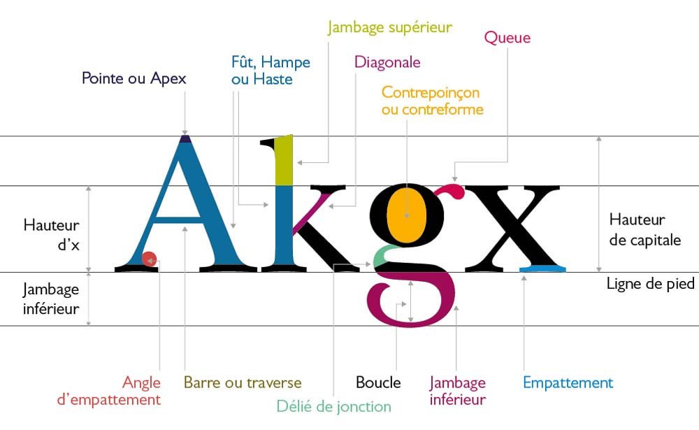 Typographie Le guide complet pour tout comprendre Canva