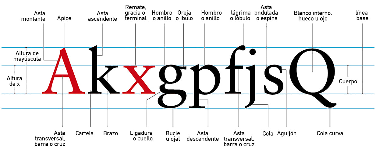Tipografías y fuentes no son lo mismo conoce las diferencias
