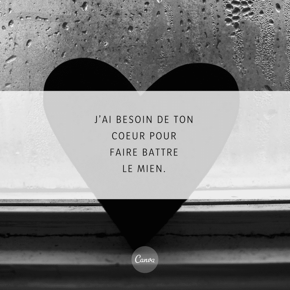 Dites Je T Aime Avec Les Meilleurs Citations Du Web Canva