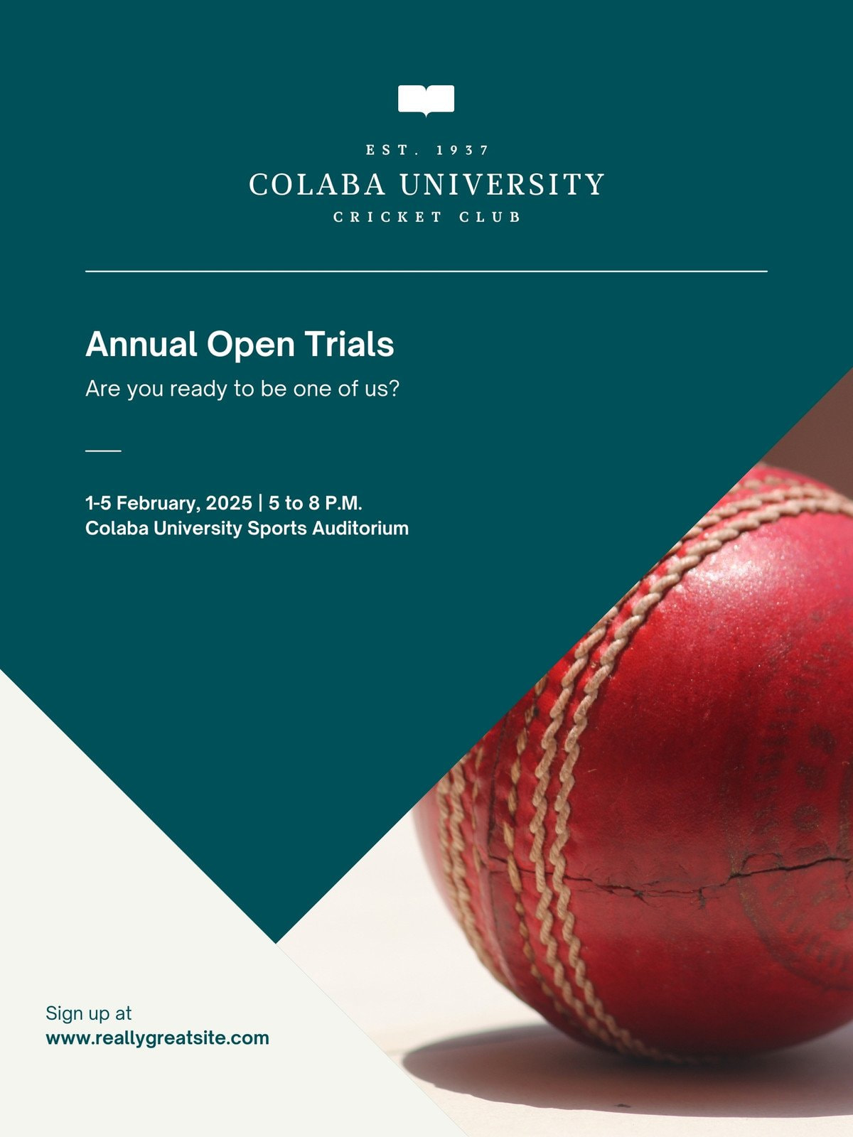 Free Online Cricket Tournament Poster Maker - Canva