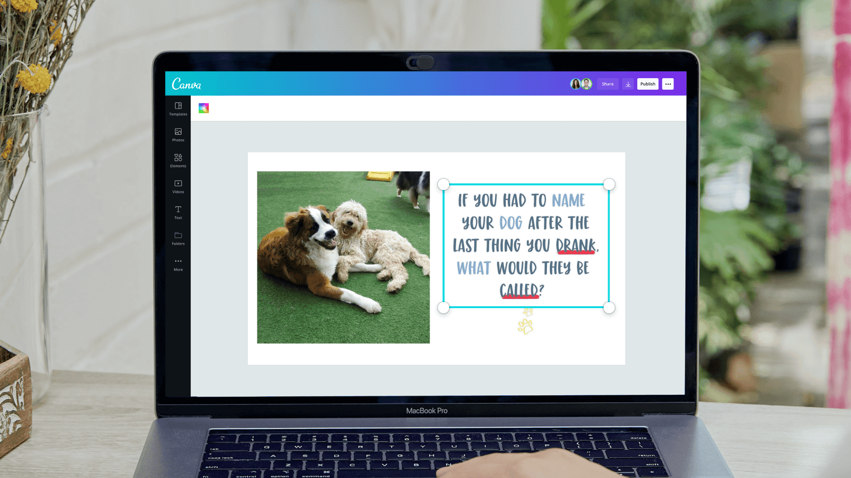 navigate to camp bow wow