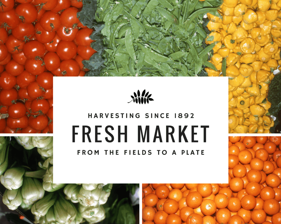 10 social media marketing experiments Canva