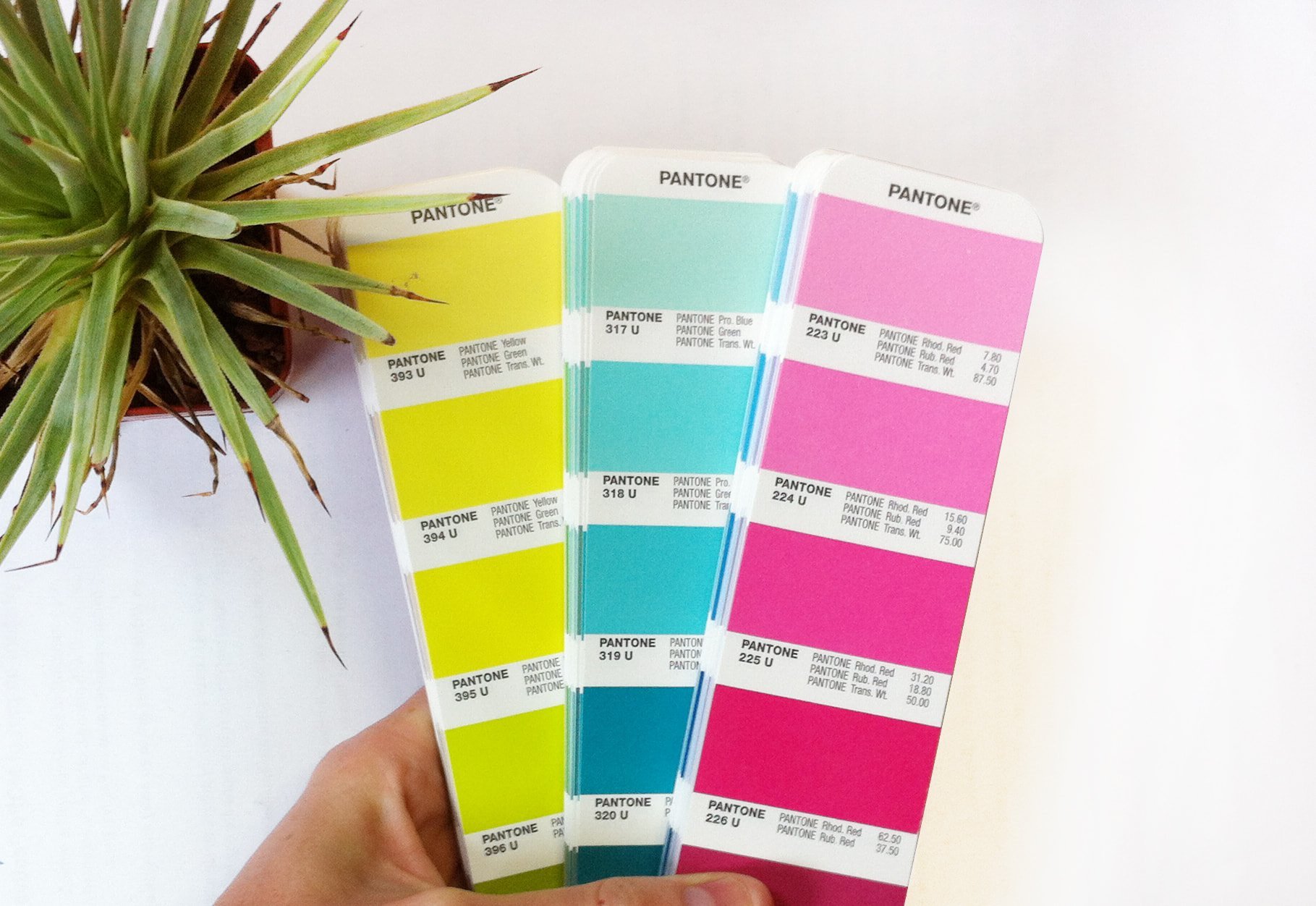 26-pantone popular design terms