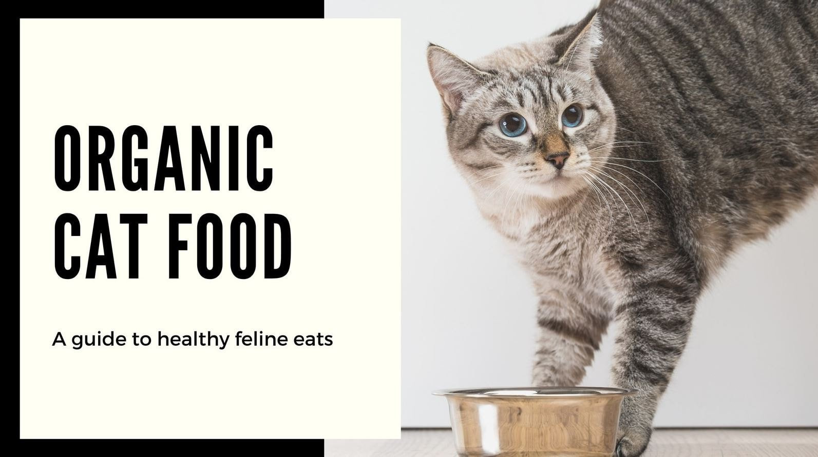 全くの初心者が本格的なバナーを作れるようになる方法 お役立ちツール6選