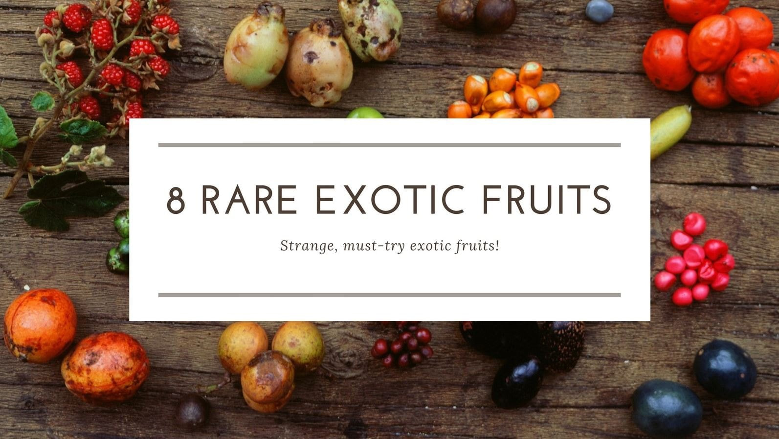 おしゃれで効果も高いバナーはどう作る Canvaを使ってみよう