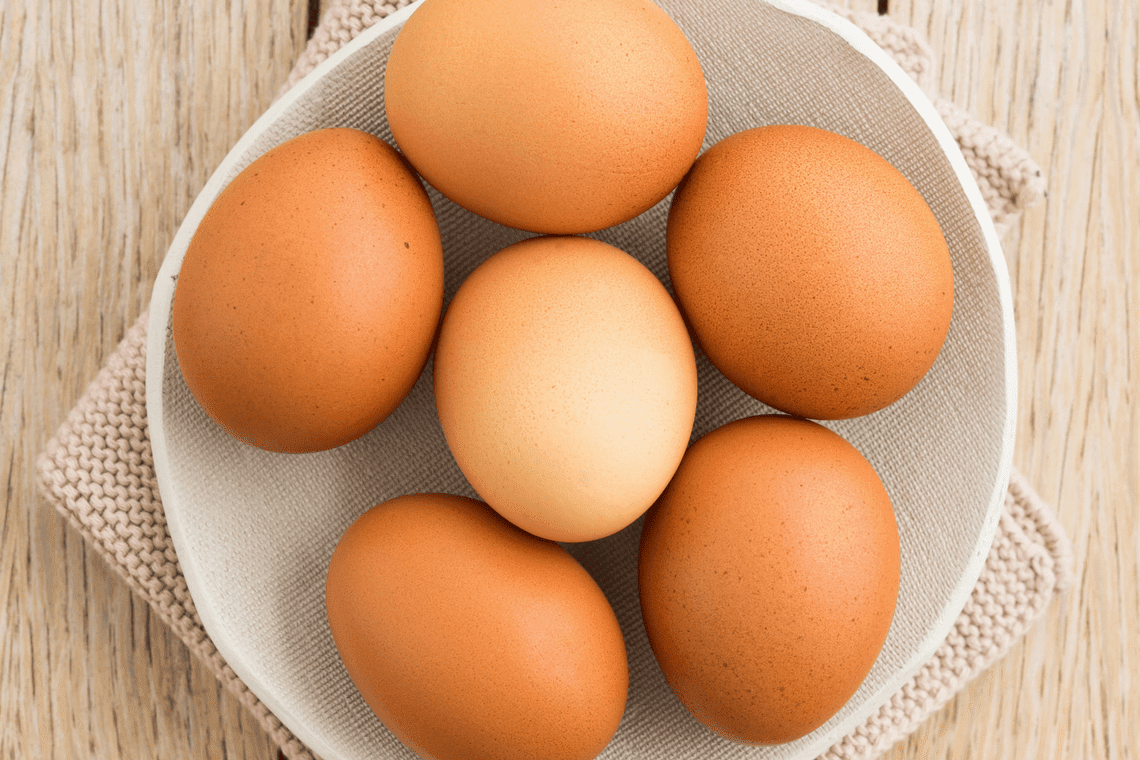 Color Combination Morning Duck Eggs Canva #39 s Design Wiki