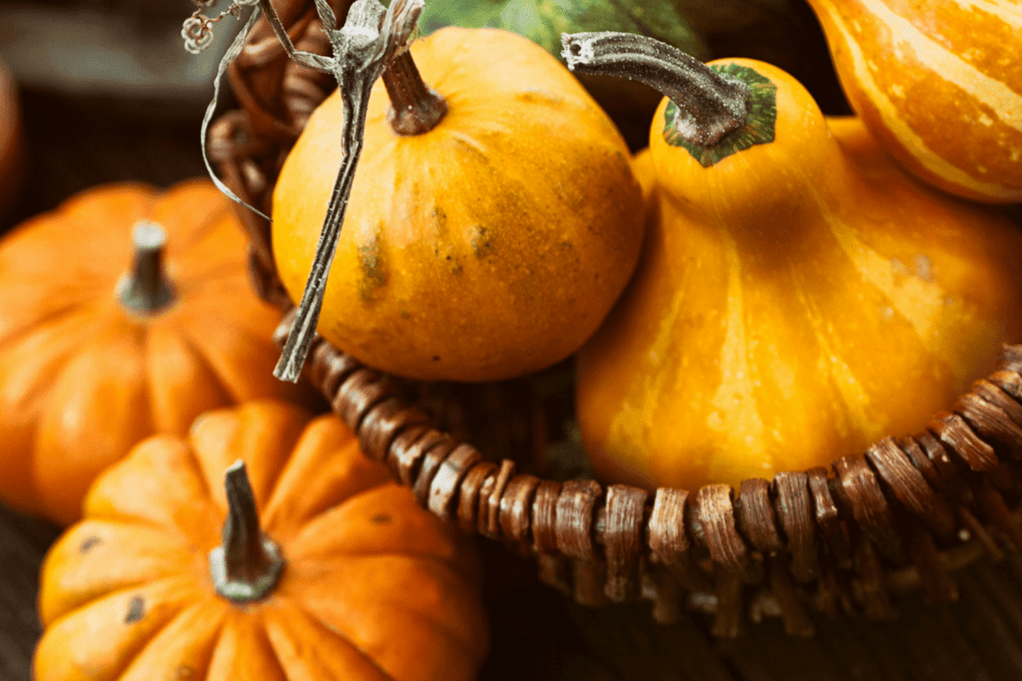 Color Combination Autumn Squash Canva's Design Wiki