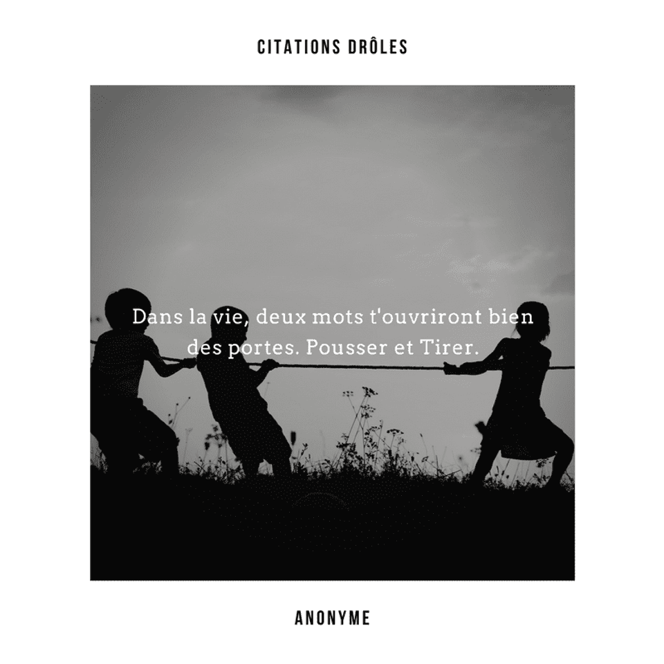 Citations Droles Uniques Et Originales En Images Canva