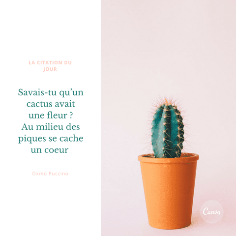 La Plus Belle Collection De Citations Instagram Canva