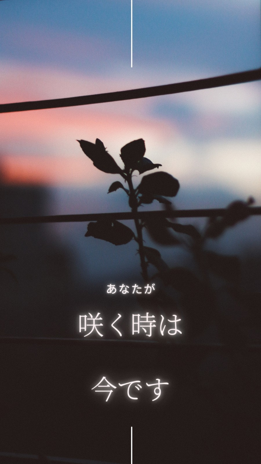 スマホ壁紙の作り方 待ち受け画面をアプリで自分で作る 無料デザインテンプレートでiphoneやandroidのおしゃれかわいいオリジナル背景画像を簡単 作成 Canva