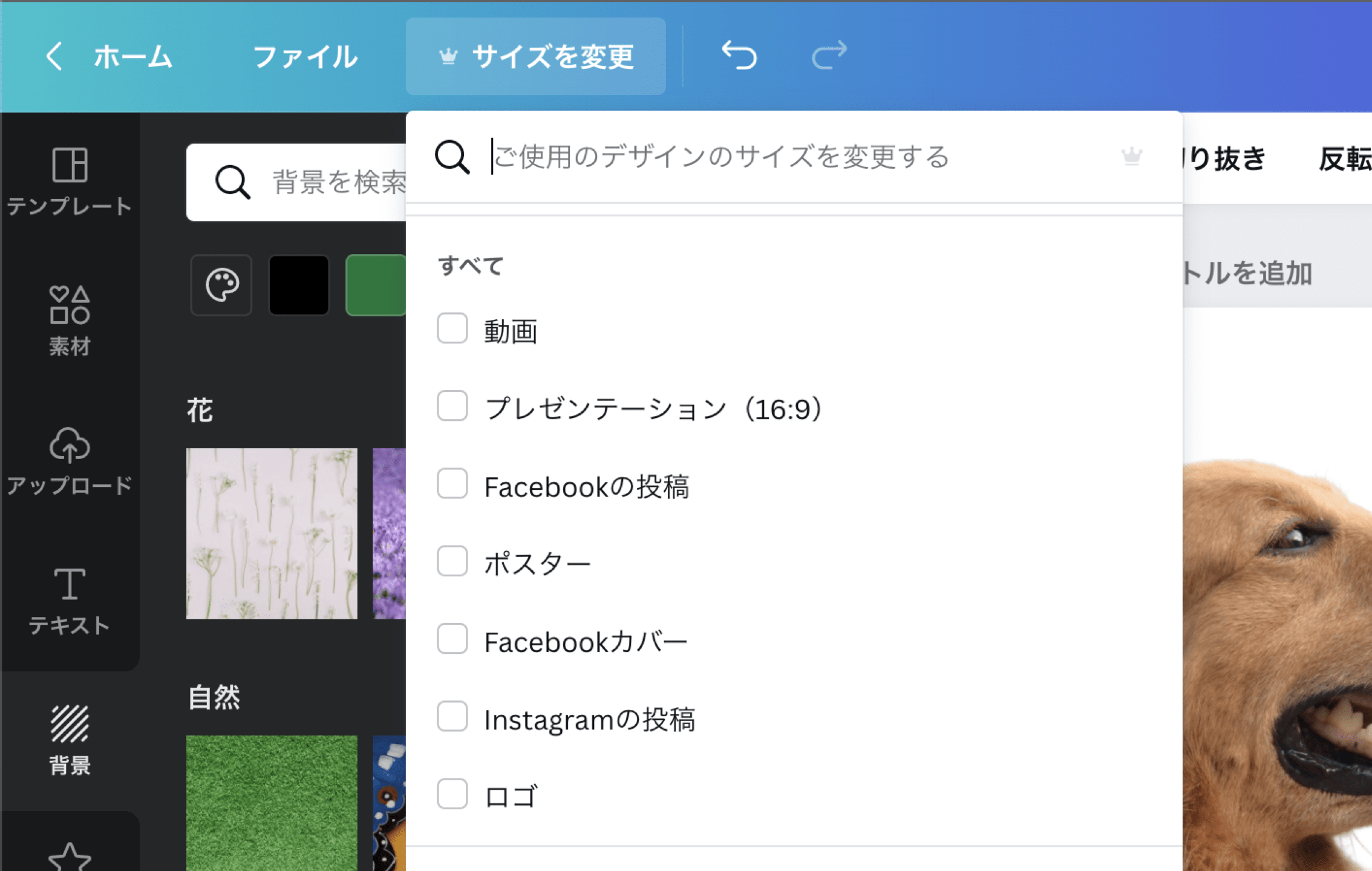 背景透過 Canva