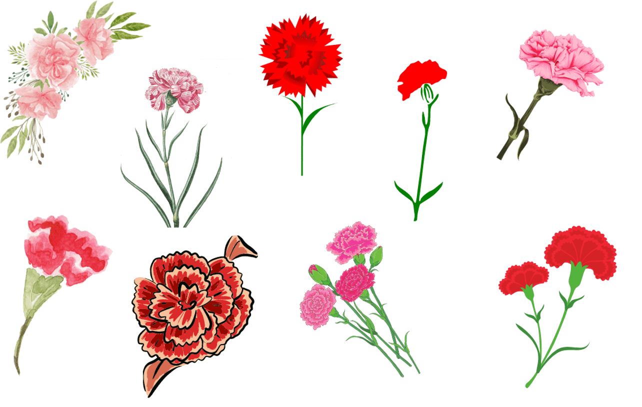 カーネーションのイラストでデザインを無料で作成 Canva