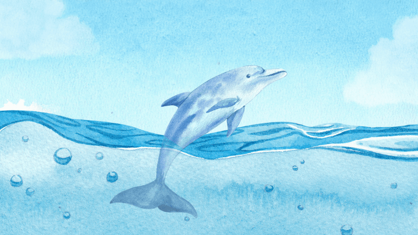 イルカイラストでデザイン作成 無料テンプレートでおしゃれなデザインが簡単に作れる Canva