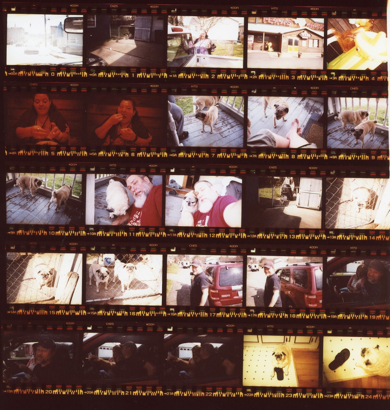 Film photography is not dead 8 reasons to go analog in an increasingly