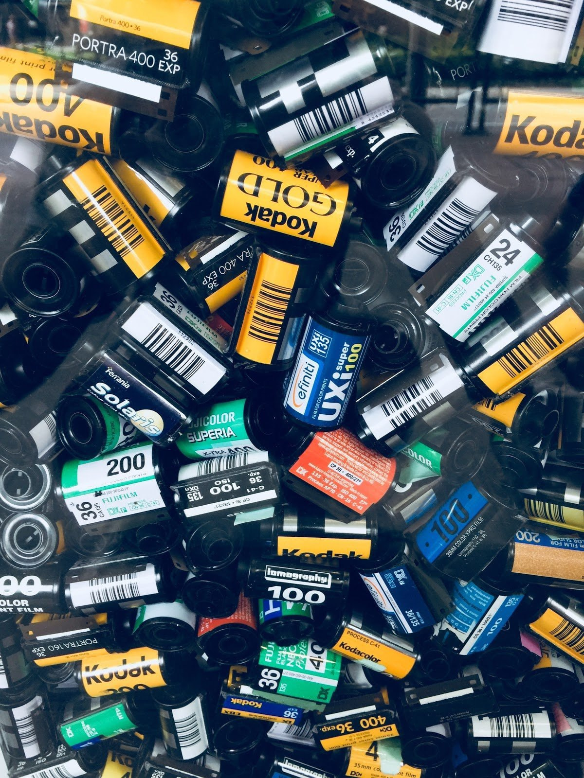 Film photography is not dead 8 reasons to go analog in an increasingly