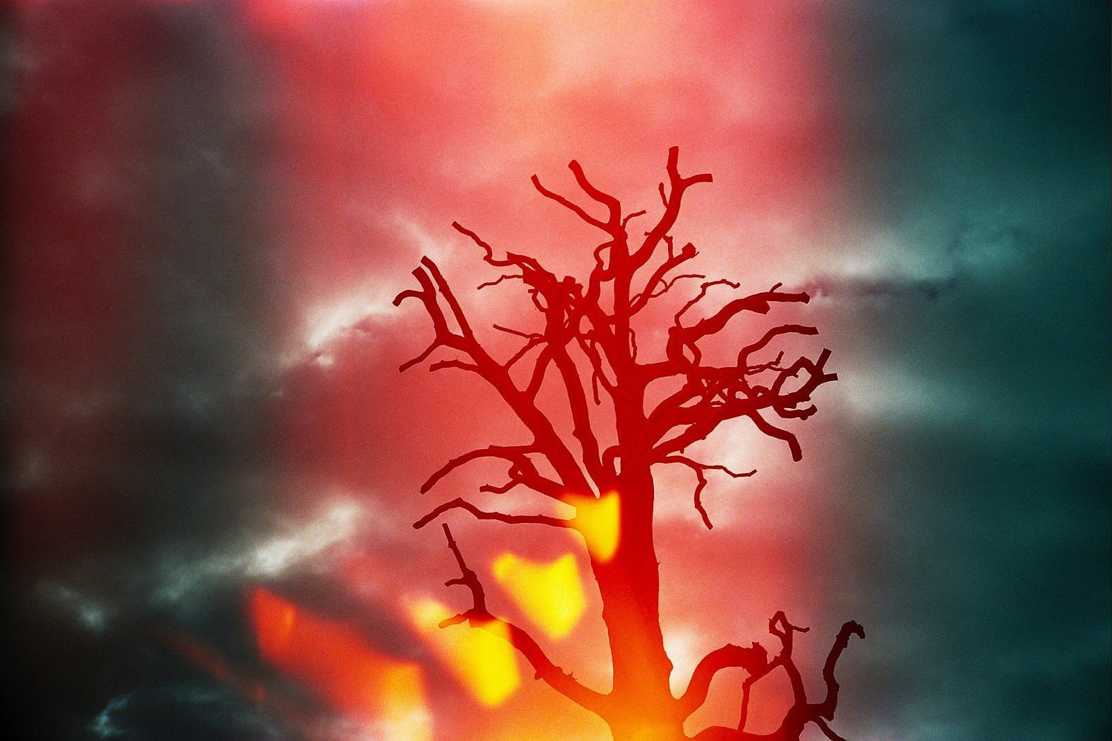 Film photography is not dead 8 reasons to go analog in an increasingly