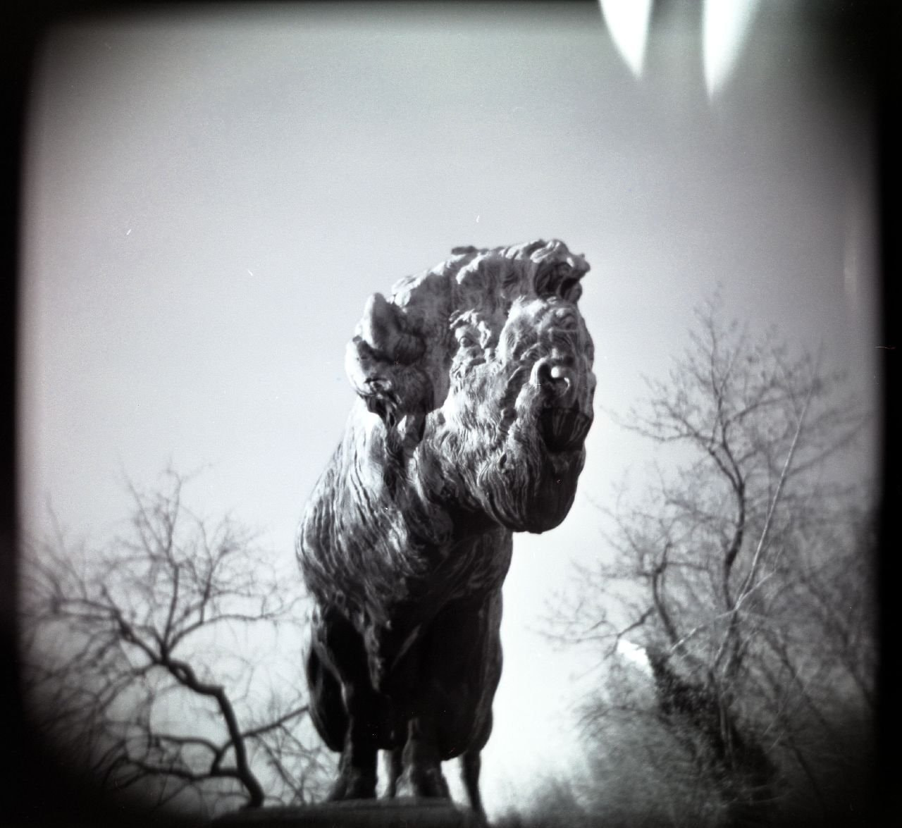 Film photography is not dead 8 reasons to go analog in an increasingly