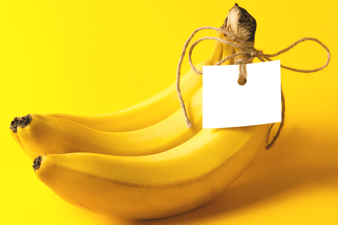 Color Combination Banana Zinger Canva's Design Wiki