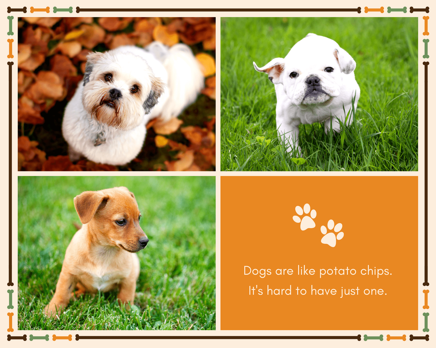 30 photo collages to make your friends laugh and cry