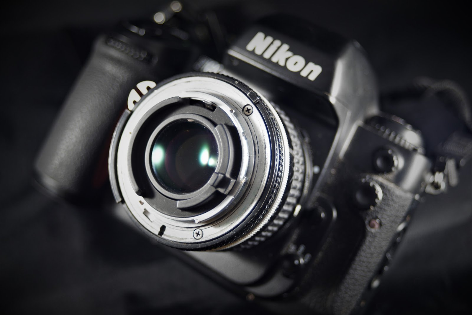 8 Tips for Macro Photography Beginners