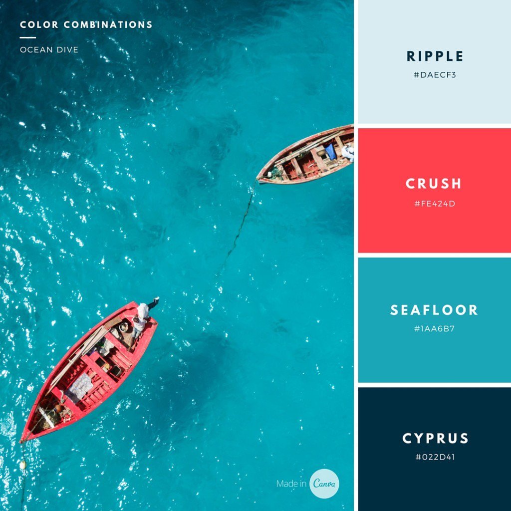 How To Use Color Palettes In Your Canva Design – Design School