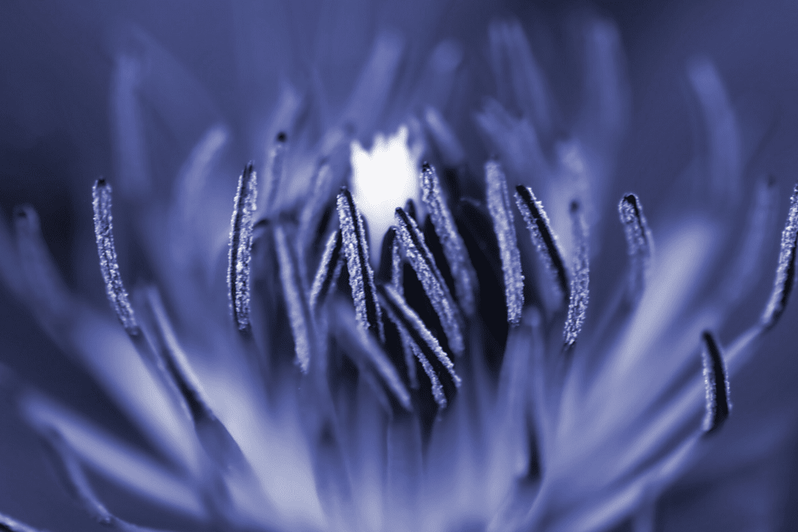 Color Combination Ombre Effect Canva's Design Wiki