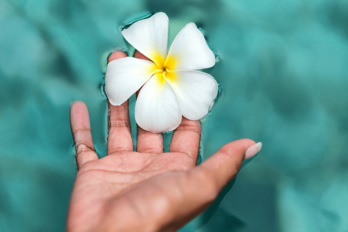 Color Combination Floral Dip Canva's Design Wiki