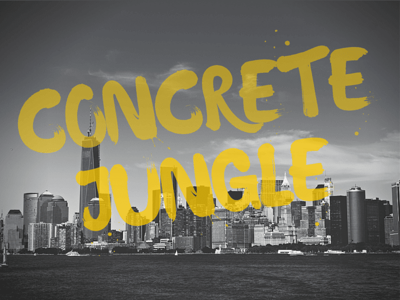 Make Images Transparent Online For Free - Canva