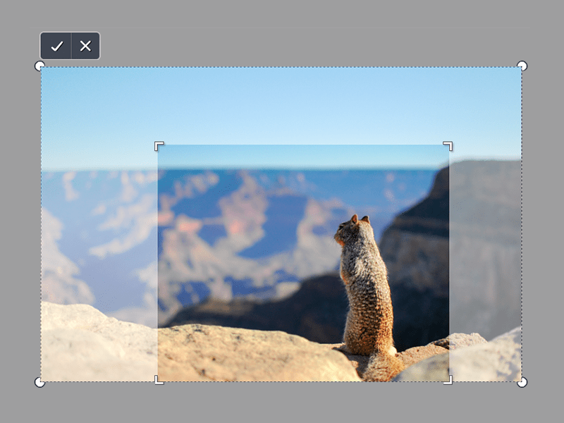 Recorta tus fotos fácilmente con Canva
